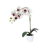 Storczyk sztuczny w doniczce dekoracyjnej