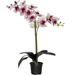 Storczyk sztuczny premium 18 kwiatów 80 x 12 cm