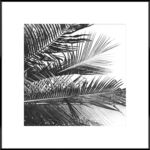 Obraz Artbox 50 x 50 cm AB081 PALMS