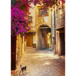 Obraz 50 x 70 cm Uliczka