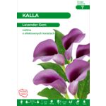 Kalla Lavender Gem 40-60 cm 14+ lawendowa