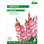 Mieczyk  Pink Lady 100-120 cm 12/14 biało-różowy