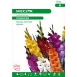 Mieczyk 100-120 cm mieszanka 12/14