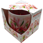 Świeca szklanka powlekana 100 g amarylis