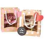 Orchidea w torebce don. 7,5 cm mix