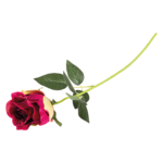 Róża pojedyncza 53 cm mix kolorów