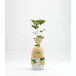 Porzeczka biała w balocie wys. 35 cm