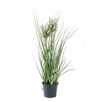 Sztuczna trawa ozdobna w doniczce 38 x 10 cm