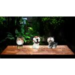 Lampa solarna figurka zwierzątko mix