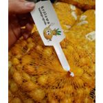 Cebula dymka efekt 250 g
