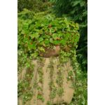 Poziomka kosz wys. 25 cm don. 21 cm