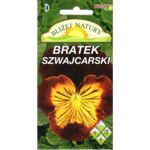 Aster iskra półpełny, iskra lila 1 g Polan
