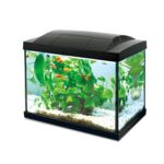 Akwarium K20 Hailea, 20 l czarne
