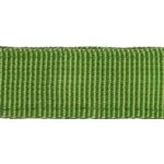 Komplet smycz / obroża gładka zielone 2 cm SU43