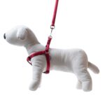 Smycz + szelki Soft Style czerwony S 1,0 cm