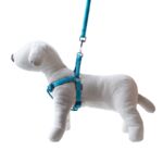 Smycz + szelki Soft Style turkus M 1,5 cm