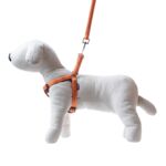 Smycz + szelki Soft Style pomarańczowe S 1 cm