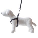 Smycz + szelki Soft Style czarne L 2,0 cm