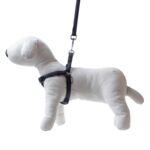 Smycz+szelki Soft Style czar-odb XL2,5cm