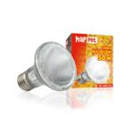 Żarówka Terra Halogen 50 W