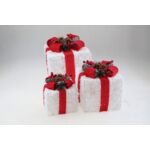 Zestaw prezentów z LED biało-czerwony