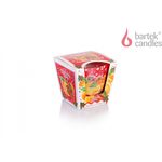 Świeca zapachowa w szkle 115 g Christmas Spices Cinnamon&Apple / Cinnamon&Orange