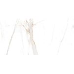 Gres polerowany Verona Gold 60 x 120 cm gat. I biały Egen