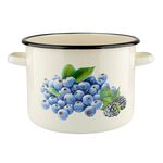Garnek emaliowany prosty BORÓWKA 22 cm 6 l UA