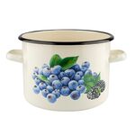 Garnek emaliowany prosty BORÓWKA 20 cm 4,5 l UA