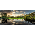 Obraz GLAS NATURE2 50 x 125 EX210 NATURE