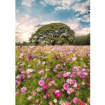 Obraz GLASSPIK 50 x 70 cm GL368 MEADOW