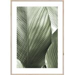 Obraz ARTBOX DIGI 50 x 70 cm BR002 MACRO