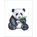 Obraz 30 x 40 cm DB3040,103