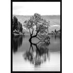 Obraz 70 x 100 cm SB70X100,029