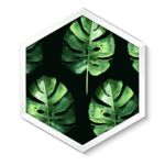 Obraz 35 x 40 cm K3540,004