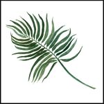 Obraz DECOBOX 50 x 50 cm DB5050,004