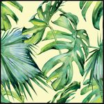 Obraz DECOBOX 50 x 50 cm DB5050,011