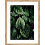 Obraz 30 x 40 cm K3040,045
