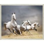 Obraz 40 x 50 cm K4050,005