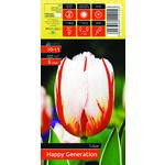 Tulipan Happy Generation rozmiar 10-11