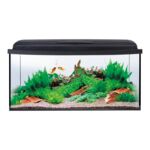 Zestaw akwariowy Aqua4start 60/P Aquaszut