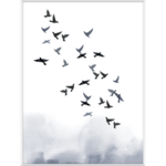 Obraz w białej ramie 30 x 40 cm Ptaki niebieskie