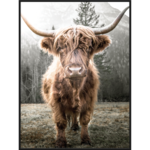 Obraz w czarnej ramie 30 x 40 cm Krowa