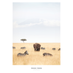 Obraz na płótnie 50 x 70 cm Serengeti
