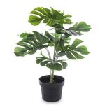 Roślina dekoracyjna kwiat monstera 55 cm