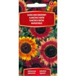 Słonecznik kwiatowy 1 g C1