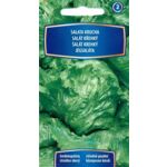 Sałata krucha 1 g C2