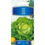 Sałata masłowa wczesna 1 g C1