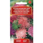 Aster chiński mieszanka barw i odmian 0,5 g C1