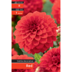 Dalia Decorative Red II kapers